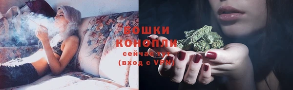 spice Алексин