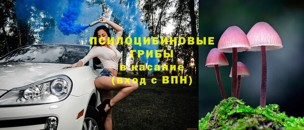 spice Алексин